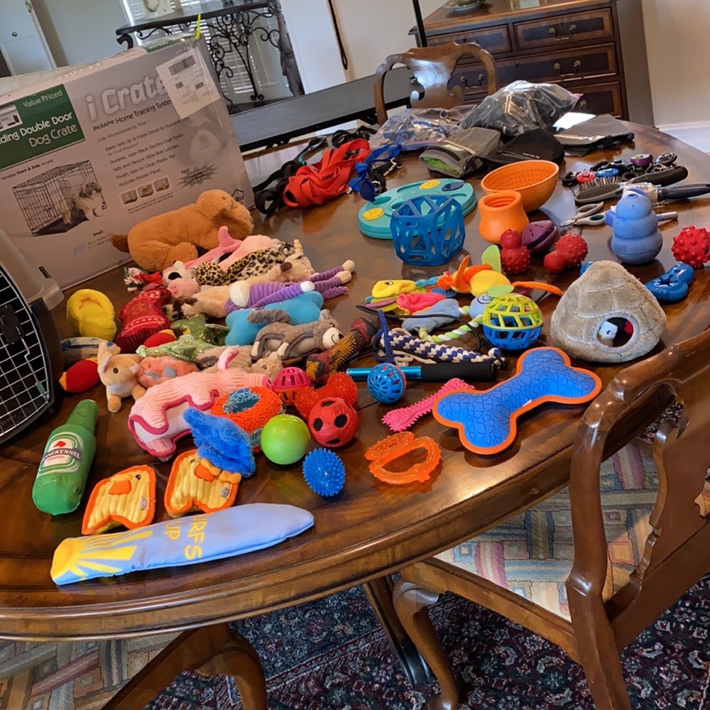Make an offer. Everything you need for a small dog!